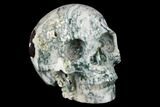 Realistic, Polished Tree Agate Skull #116698-2